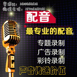 語音錄音盒報(bào)價(jià) 廠家