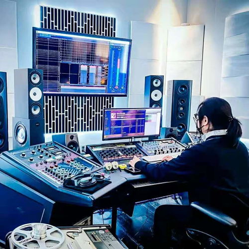 Artnovion案例賞析 2021年2月錄音制作中的聲學(xué)藝術(shù)應(yīng)用